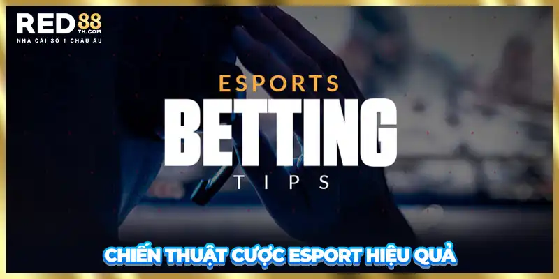 Chiến thuật cược Esport hiệu quả