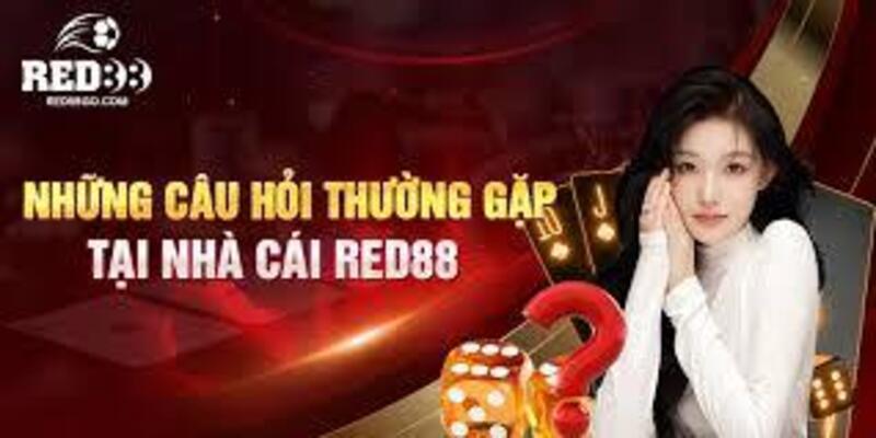 Giải đáp các câu hỏi thường gặp 