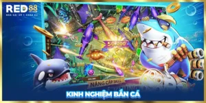 Kinh Nghiệm Bắn Cá