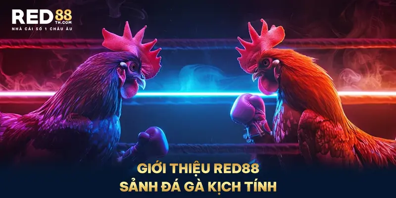 Giới thiệu Red88 - sảnh đá gà kịch tính